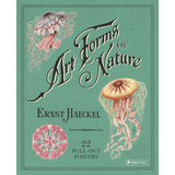 ERNST HAECKEL ART FORMS NATURE PULL OUT POSTERS