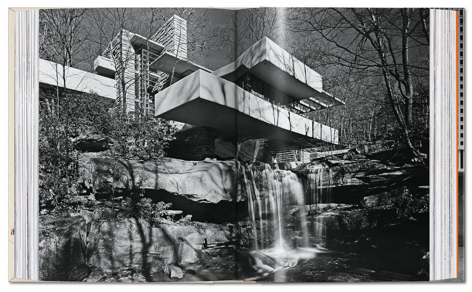 Product image for B9783836599672