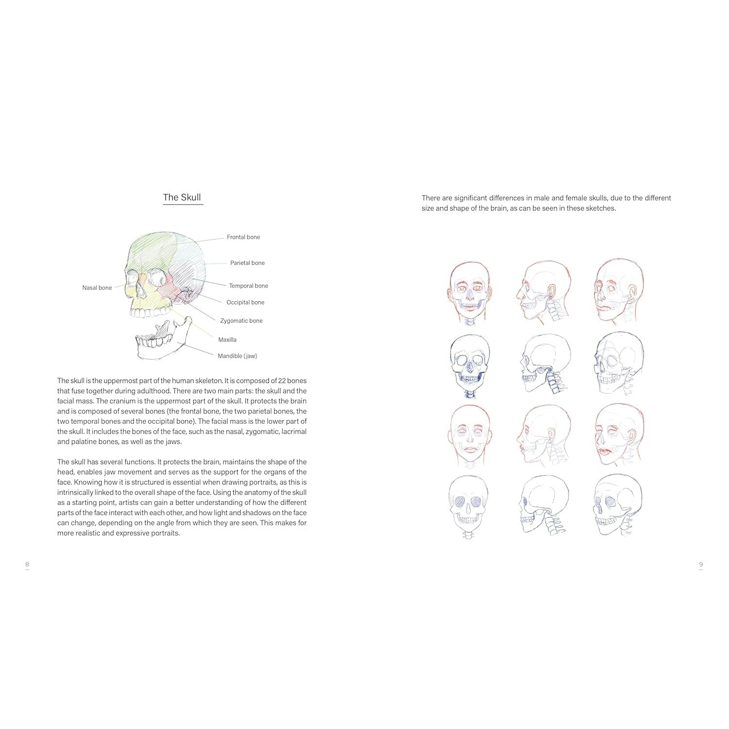 LEARN TO DRAW FACES 5O MODELS