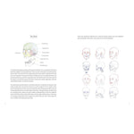 LEARN TO DRAW FACES 5O MODELS