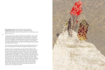 THE ART OF JESÚS CISNEROS: DRAWING FROM MEMORY