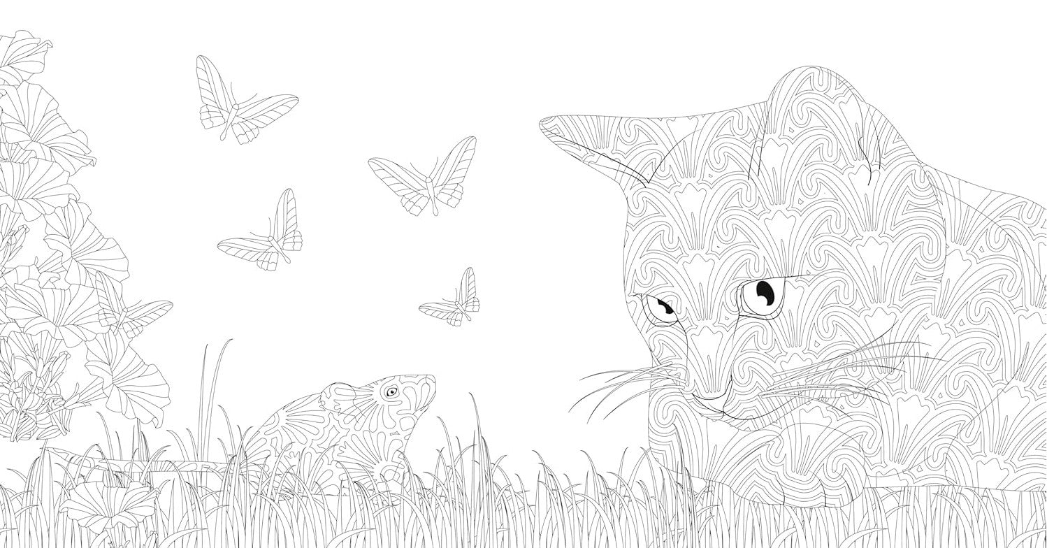 Product image for B9788854421417