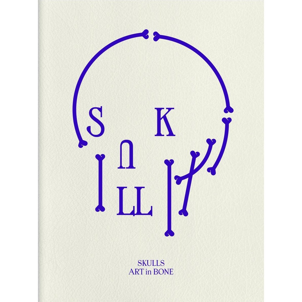 SKULL ART IN BONE
