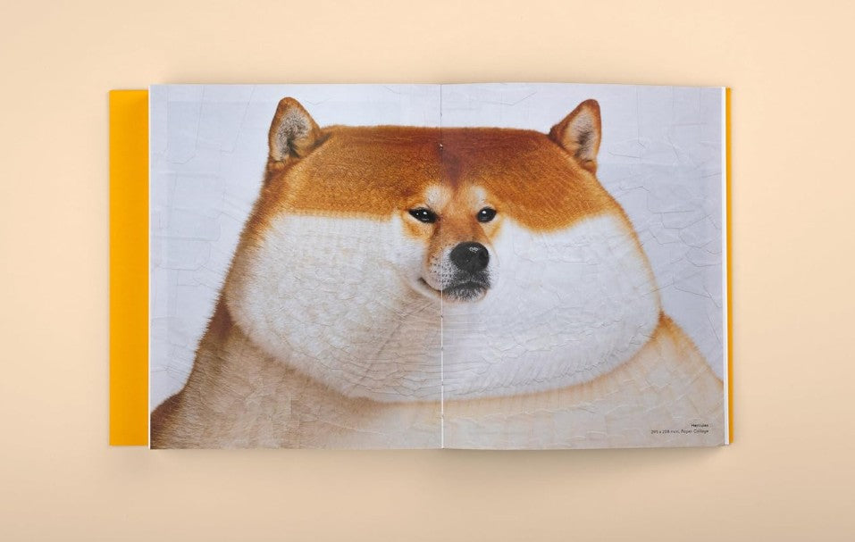 Product image for B9789887684572