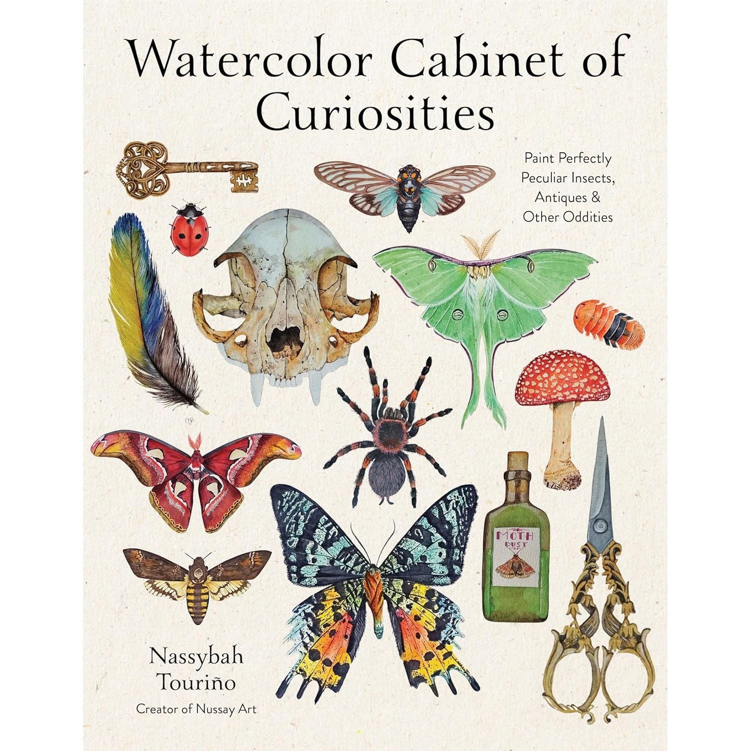 WATERCOLOUR CABINET OF CURIOSITIES ODDITIES
