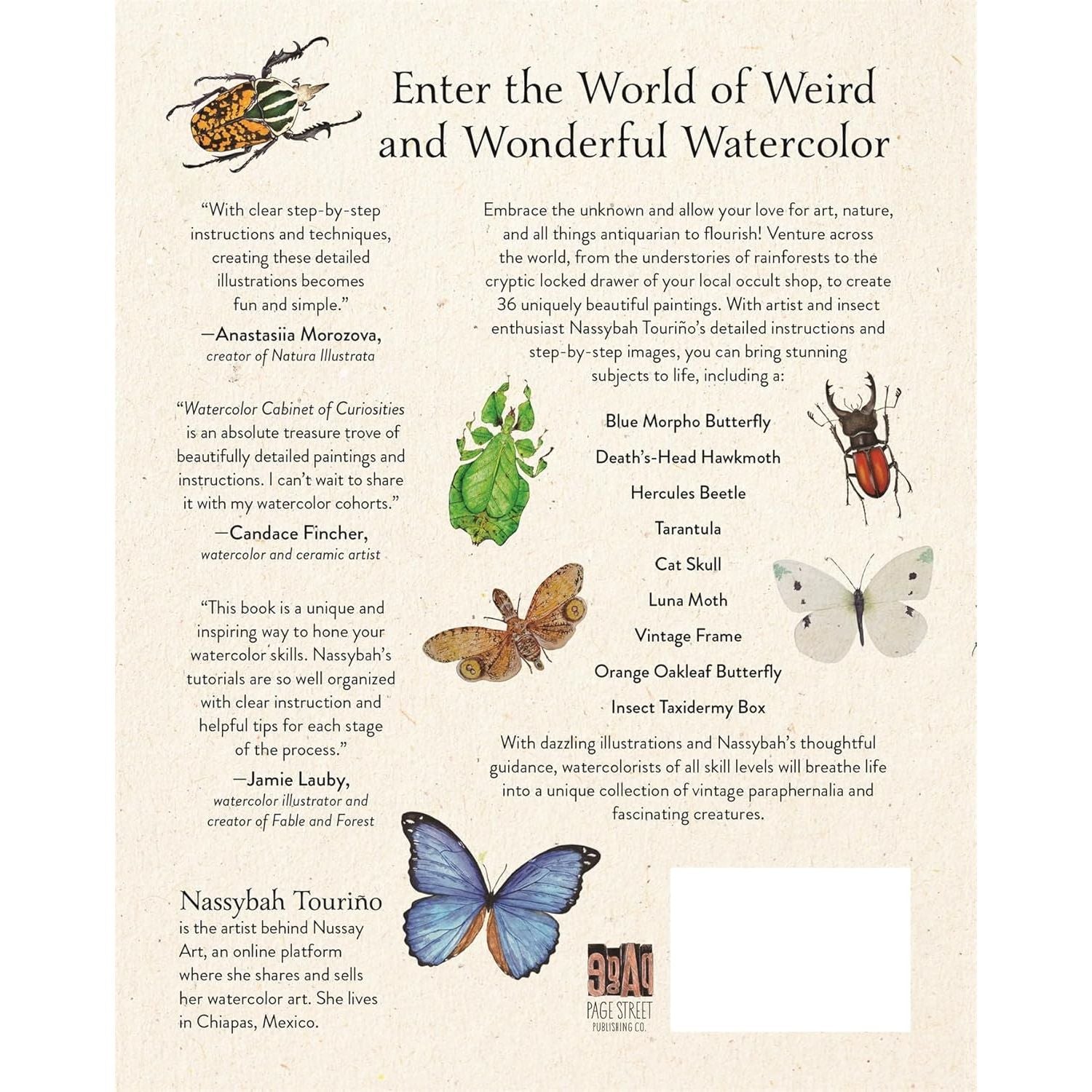 WATERCOLOUR CABINET OF CURIOSITIES ODDITIES