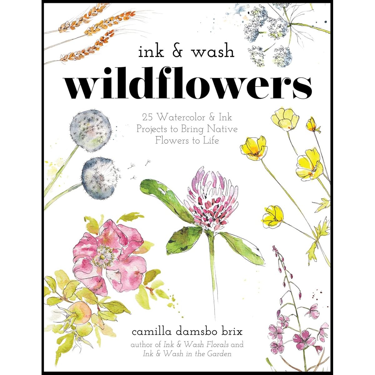 INK AND WASH WILDFLOWERS: 25 PROJECTS