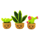 MINI HOUSEPLANTS DIY CROCHET TRIO KIT - CREATE 3 ADORABLE PLANTS
