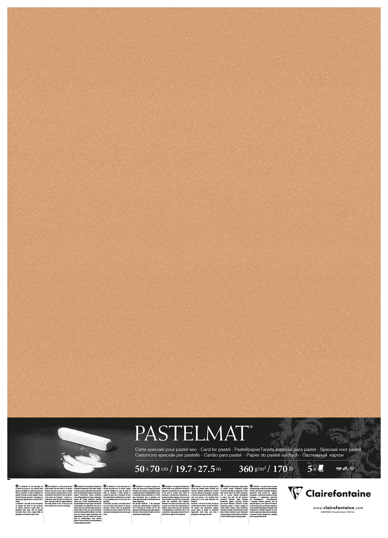 CLAIREFONTAINE PASTELMAT PAPER SIENNA