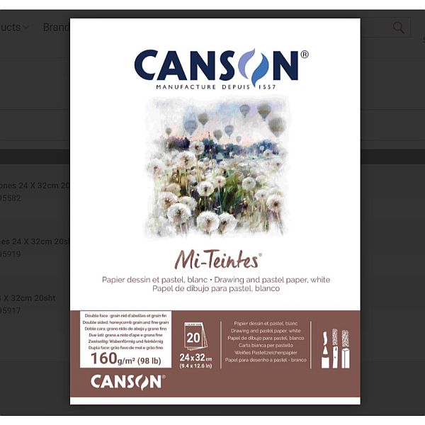 Canson Mi-Teintes Pad 160gsm White 24x32cm