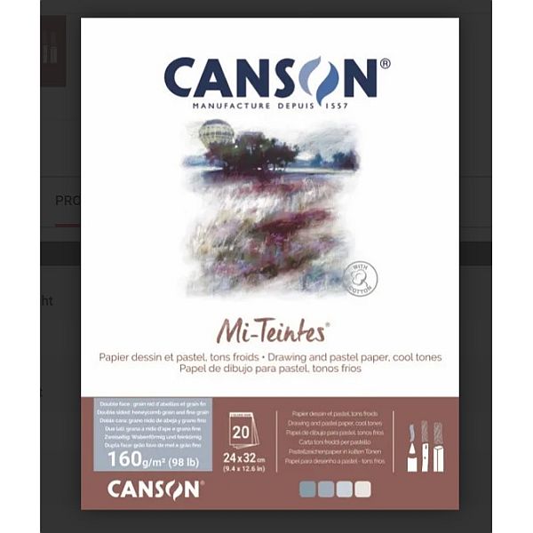 Canson Mi-Teintes Pad 160gsm Cool Tones 24x32cm