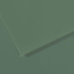 Canson Mi-Teintes Paper 160gsm Sage Green 190 A4
