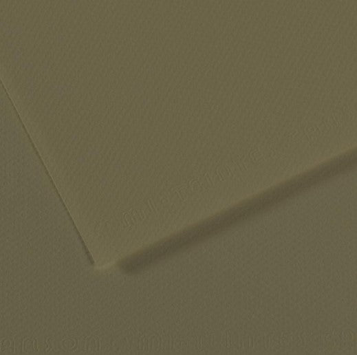 Canson Mi-Teintes Paper 160gsm Olive Green 191 A4