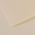 Canson Mi-Teintes Paper 160gsm Lily 110 50x65cm