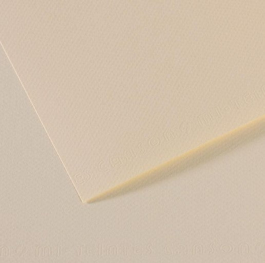 Canson Mi-Teintes Paper 160gsm Lily 110 50x65cm
