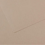 Canson Mi-Teintes Paper 160gsm Flannel Grey 122 50x65cm