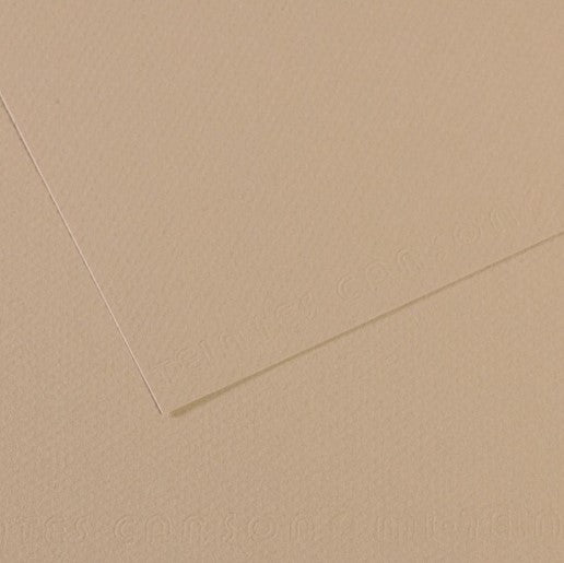 Canson Mi-Teintes Paper 160gsm Pearl 343 50x65cm
