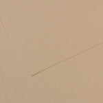 Canson Mi-Teintes Paper 160gsm Pearl 343 50x65cm