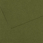 Canson Mi-Teintes Paper 160gsm Ivy 448 50x65cm
