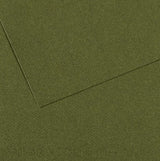 Canson Mi-Teintes Paper 160gsm Ivy 448 50x65cm