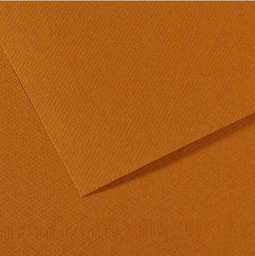 Canson Mi-Teintes Paper 160gsm Havana 502 50x65cm