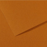Canson Mi-Teintes Paper 160gsm Havana 502 50x65cm