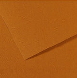 Canson Mi-Teintes Paper 160gsm Havana 502 50x65cm