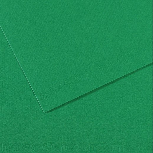 Canson Mi-Teintes Paper 160gsm Viridian 575 50x65cm