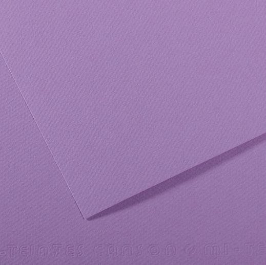 Canson Mi-Teintes Paper 160gsm Blueberry 724 50x65cm