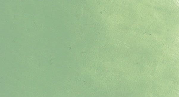 Cranfield Safe Wash Relief Printing Ink Sage Green 75ml