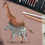 Cretacolor Pencil Wrap Professional Set 24 SET