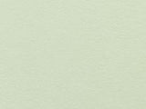 Colourfield Paper 135gsm Pistachio Sheet 450x640mm