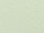 Colourfield Paper 135gsm Pistachio Sheet 640x970mm