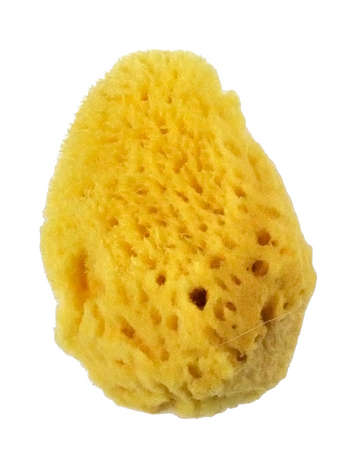 Royal Sea Silk Sponge 1.5-2"