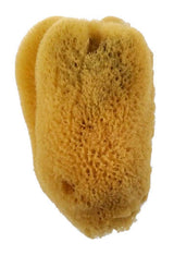 Royal Sea Silk Sponge 3.5-3"