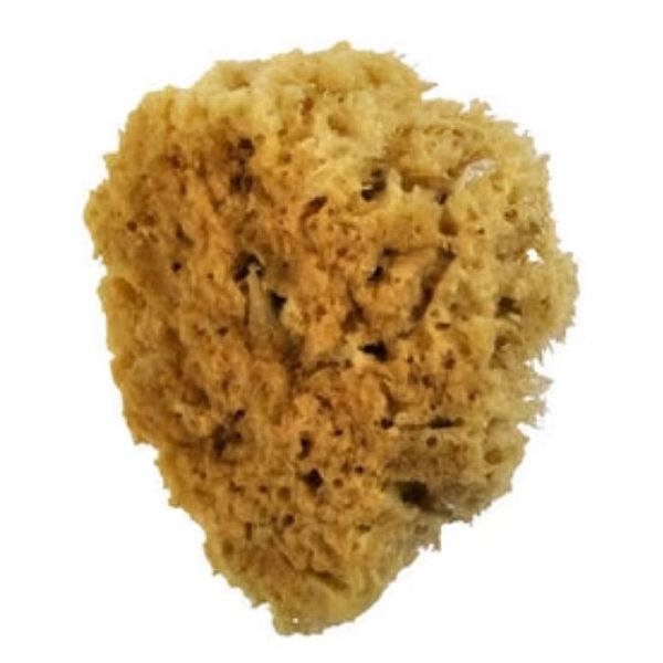 Royal Sea Silk Sponge 4"
