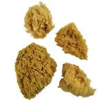 Royal Yellow Sponge Mixed Set 4
