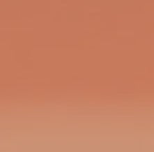 Derwent Inktense Watersoluble Pencil Burnt Orange