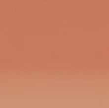 Derwent Inktense Watersoluble Pencil Burnt Orange