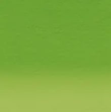 Derwent Inktense Watersoluble Pencil Fern