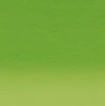 Derwent Inktense Watersoluble Pencil Fern