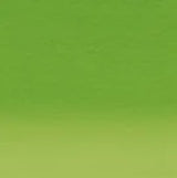 Derwent Inktense Watersoluble Pencil Fern