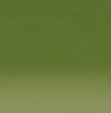 Derwent Inktense Watersoluble Pencil Leaf Green