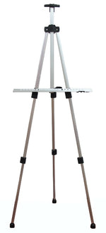 Expression Aluminium Easel Silver