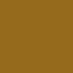 FAS STUDENT ACRYLIC RAW SIENNA