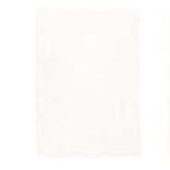 Faber Castell Pitt Pastel Pencil White Soft