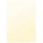 Faber Castell Pitt Pastel Pencil Ivory 103