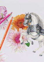 FABER CASTELL POLYCHROMOS COLOUR PENCILS TIN OF 20 NEW COLOURS