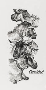 FABER CASTELL PITT ARTIST PEN BLACK (0.1,0.3,0.5,0.7)