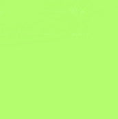 Faber Castell Pitt Artist Brush Tip Pen Leaf Green